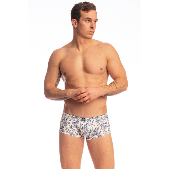 Siam Jouy Miniboxer