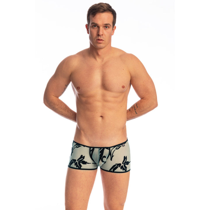 Velours Mystique - Boxer Invisible