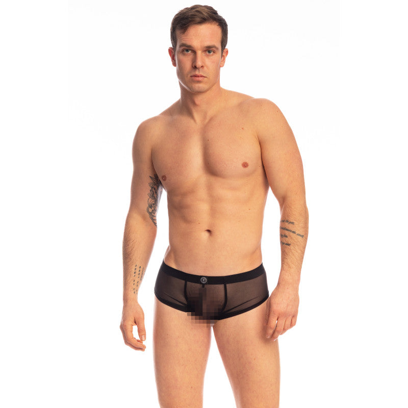 Beyond Invisible Bresillien