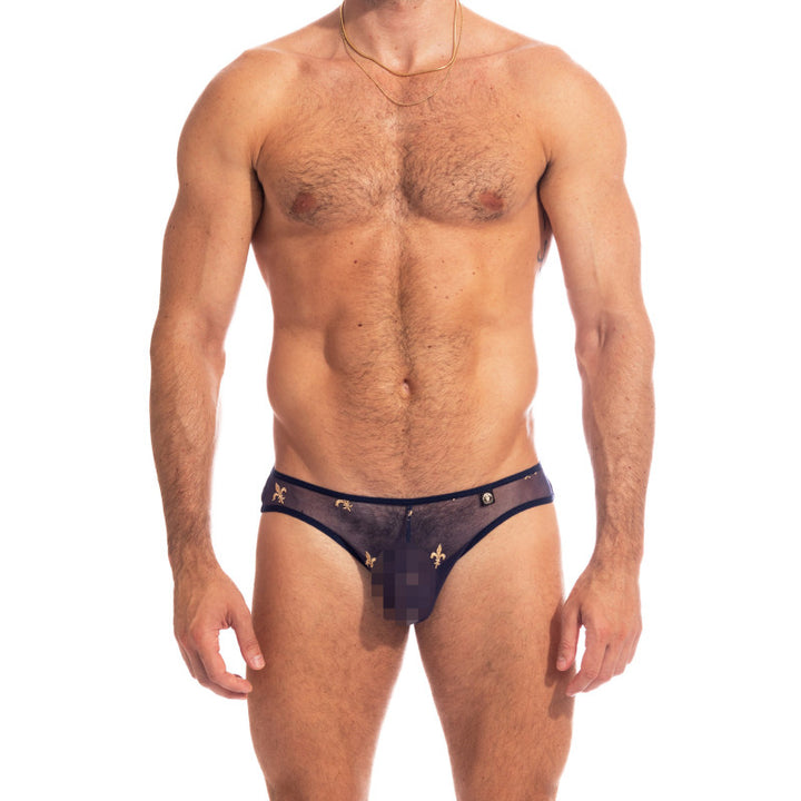 Charlemagne Navy - Mini Briefs