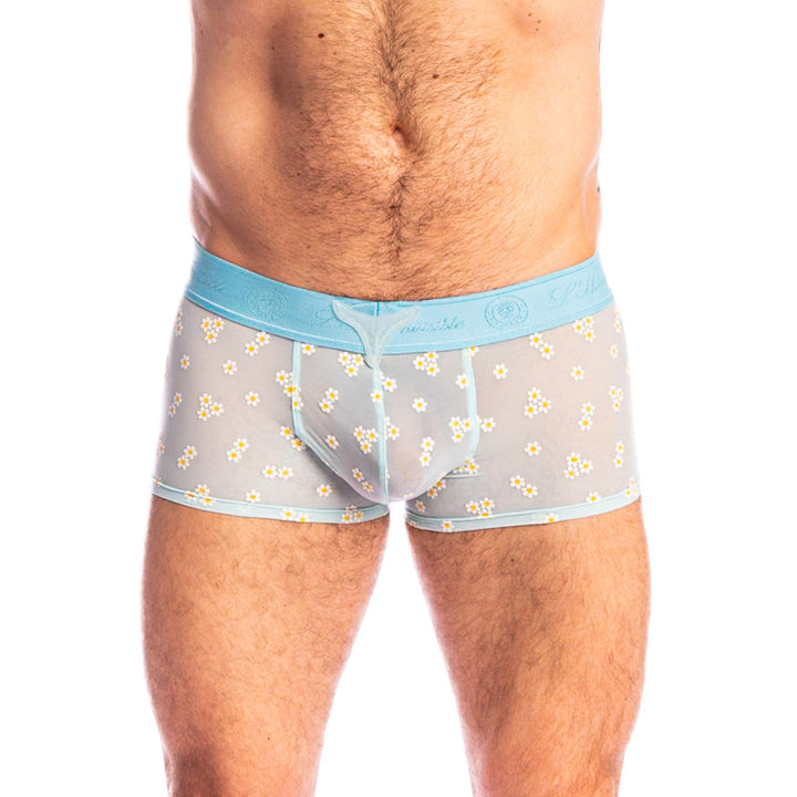 Paradiso - V Boxer Push-Up