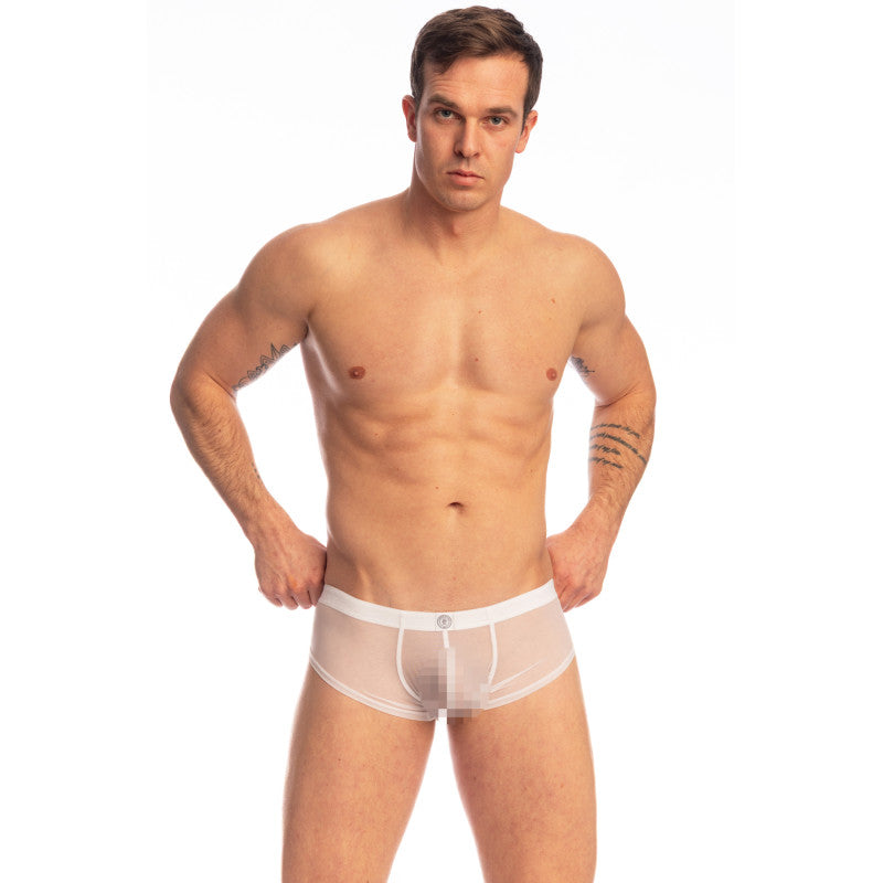 Beyond Invisible Bresillien