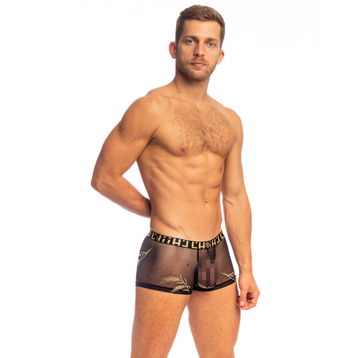 Epi D'or - Hipster Pushup